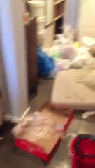 Appartement détruit pendant une location AirBnB... Très mauvaise surprise!