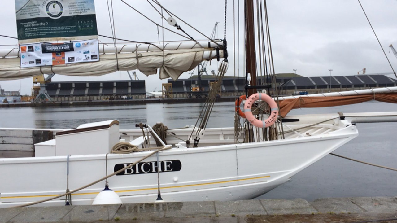 Des produits bio livrés par voilier