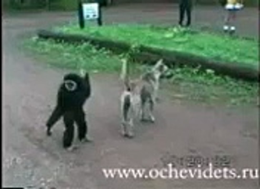 funny