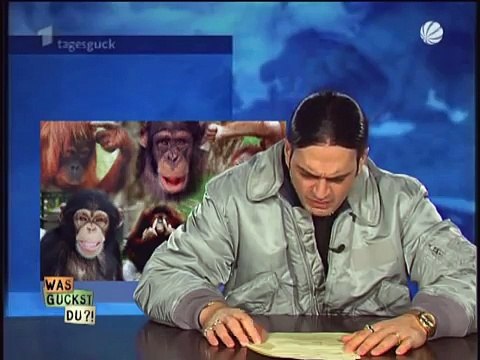 Was guckst du - Der Tagesguck HQ