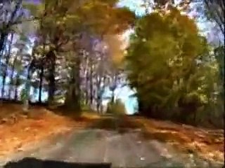 Nicu Alifantis - Emotie de toamna