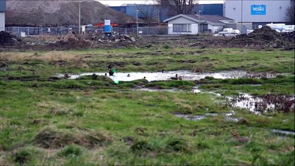 Aerolaser - Bird strike prevention using laser technology