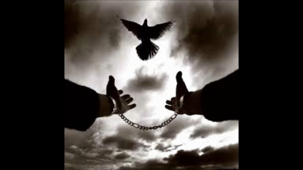 Der Blaue Reiter - 1st Of May