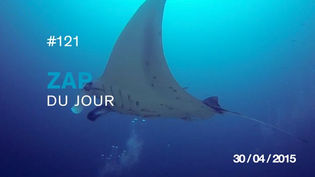 ZAP DU JOUR #121 : Premier aperçu de Hololens / Smart VS Mustang / Crise cardiaque garantie / Un peu de cocaine ? /