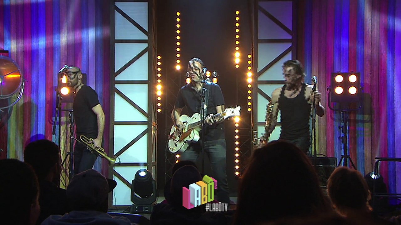 Live : Zebra - "Peau de Zèbre"