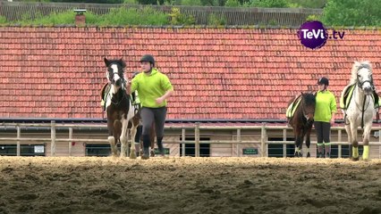 Découverte du Pony Games à Saint-Lô [TéVi] 15_04-30