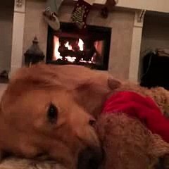 Baby it's cold outside! - Vine