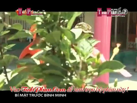 Phim Bí Mật Trước Bình Minh Tap 11b