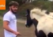 Dummy Tries to Ride Random Horse; Goes Exactly as You Would Expect
