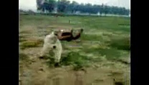 Jump By Ameer Computer Centre