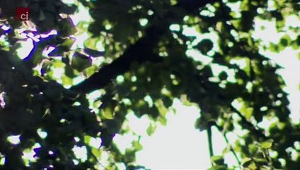 When Life Means Life - Arthur Hutchinson