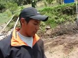 campesino Asocampo indica ventajas riego por goteo como mecanismo de adaptación