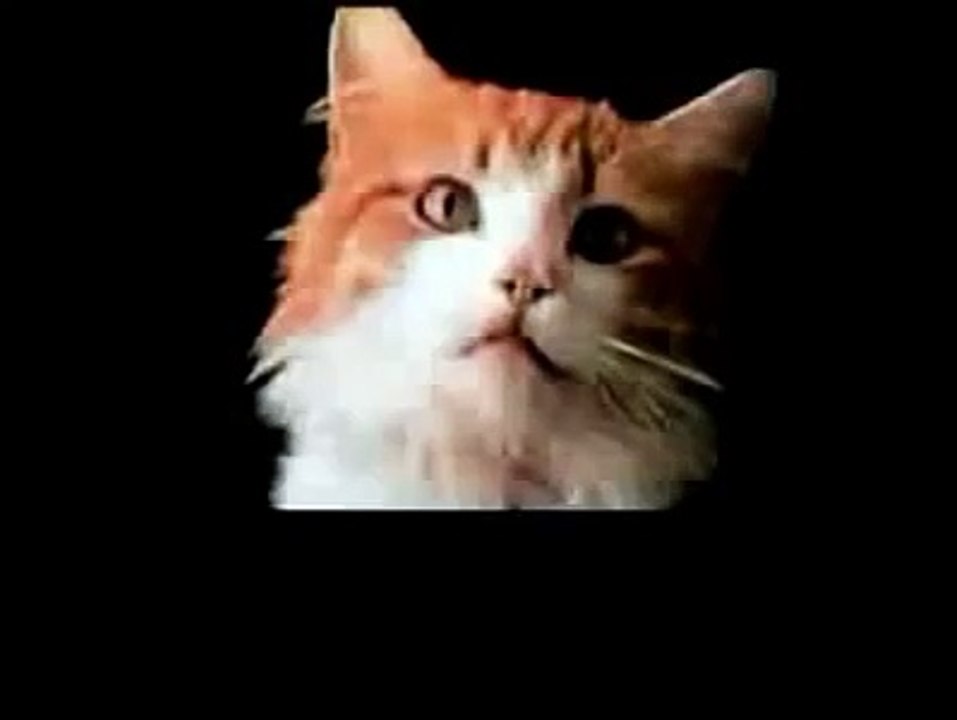 Purina meowmix meow mix cat food video Dailymotion