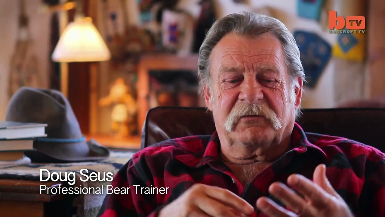 Quand l'homme et l'ours se rencontre
