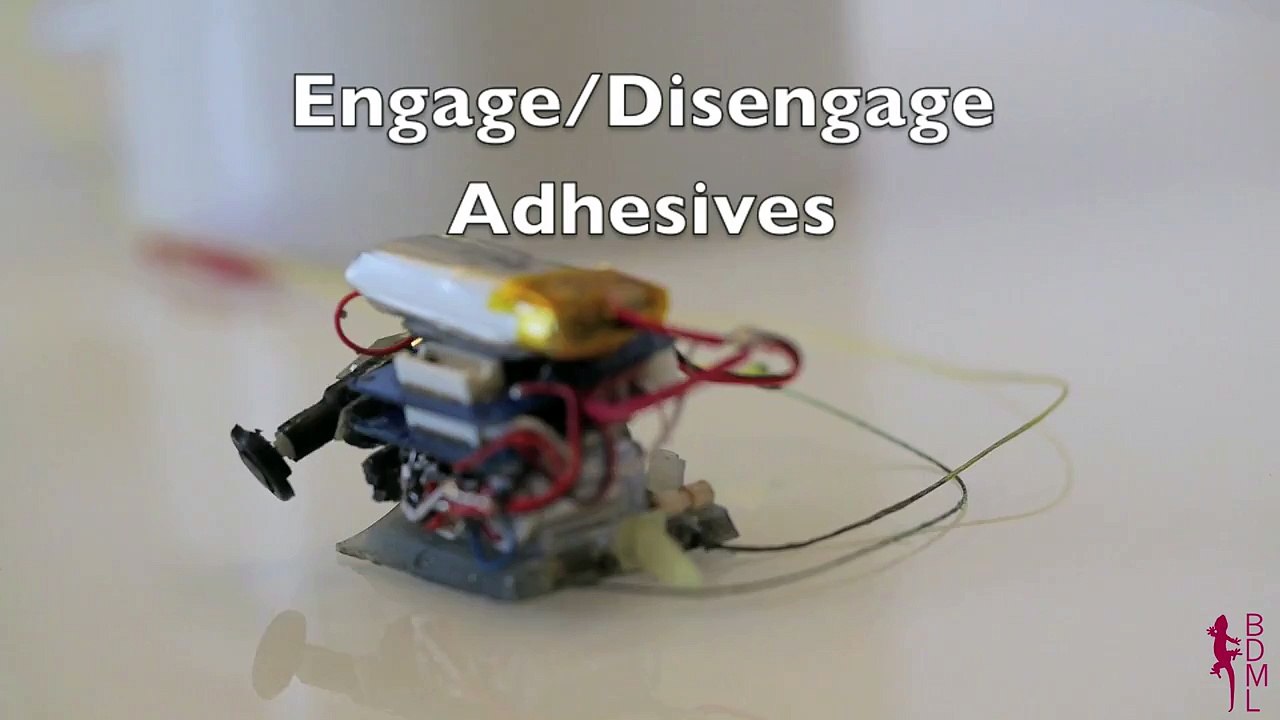 µTug : Micro Robot qui tire 2000 fois son propre poids