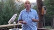 bonding with your birds / parrots / cockatoos / cockatiels with Rod Villemaire