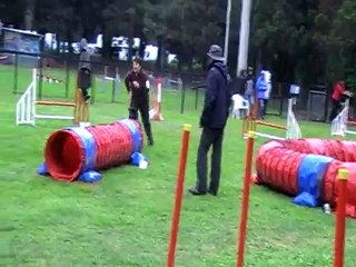 dolce agility  champ reg 15 tarascon  jump