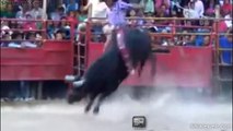 LO MEJOR DEL JARIPEO LOS DESTRUCTORES UNA MUY BUENA QUEDA Y PELEA A GOLPES SELECCION DE CALIDAD ACCION TOTAL ABRIL 2015