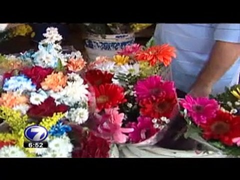 tn7-14-febrero-130215