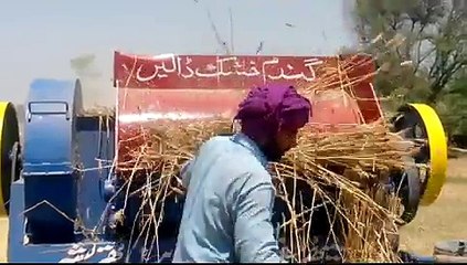 Punjab Gives The Final Wheat Processing