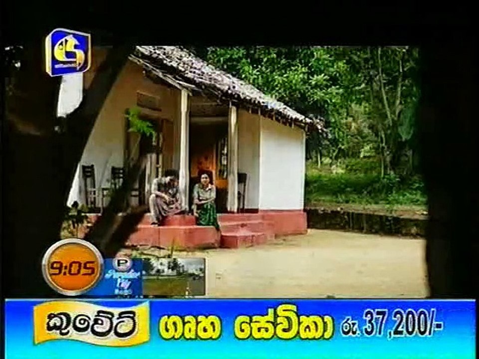 lokki 300415