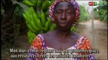 Réalisations du PDMAS au Sénégal
