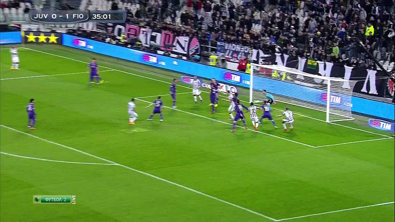 from nando for lion with love