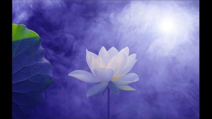 古箏音樂：阿彌陀佛Chinese instrumental music(guzheng)