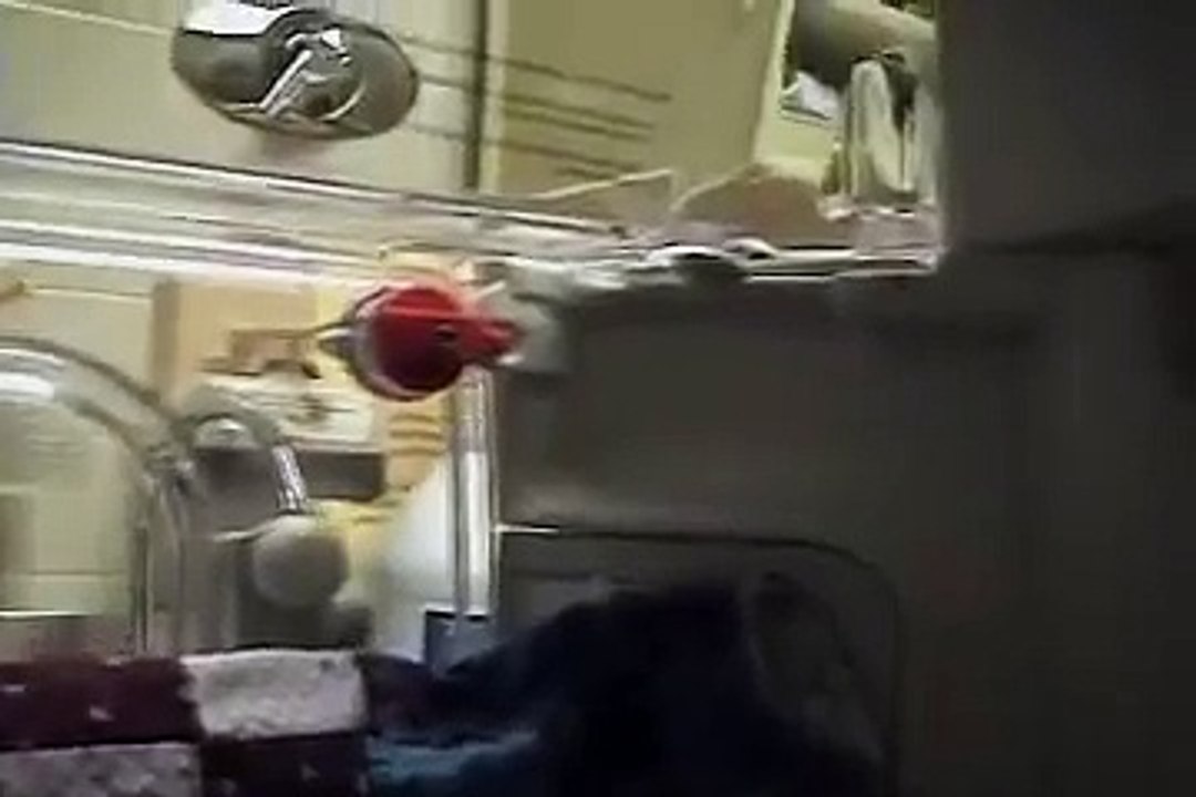 MTV Cribs NICU video Dailymotion