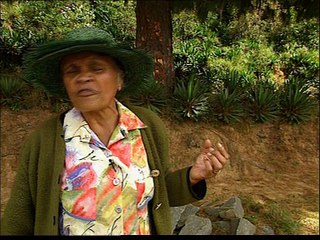 Stopper la déforestation à Madagascar