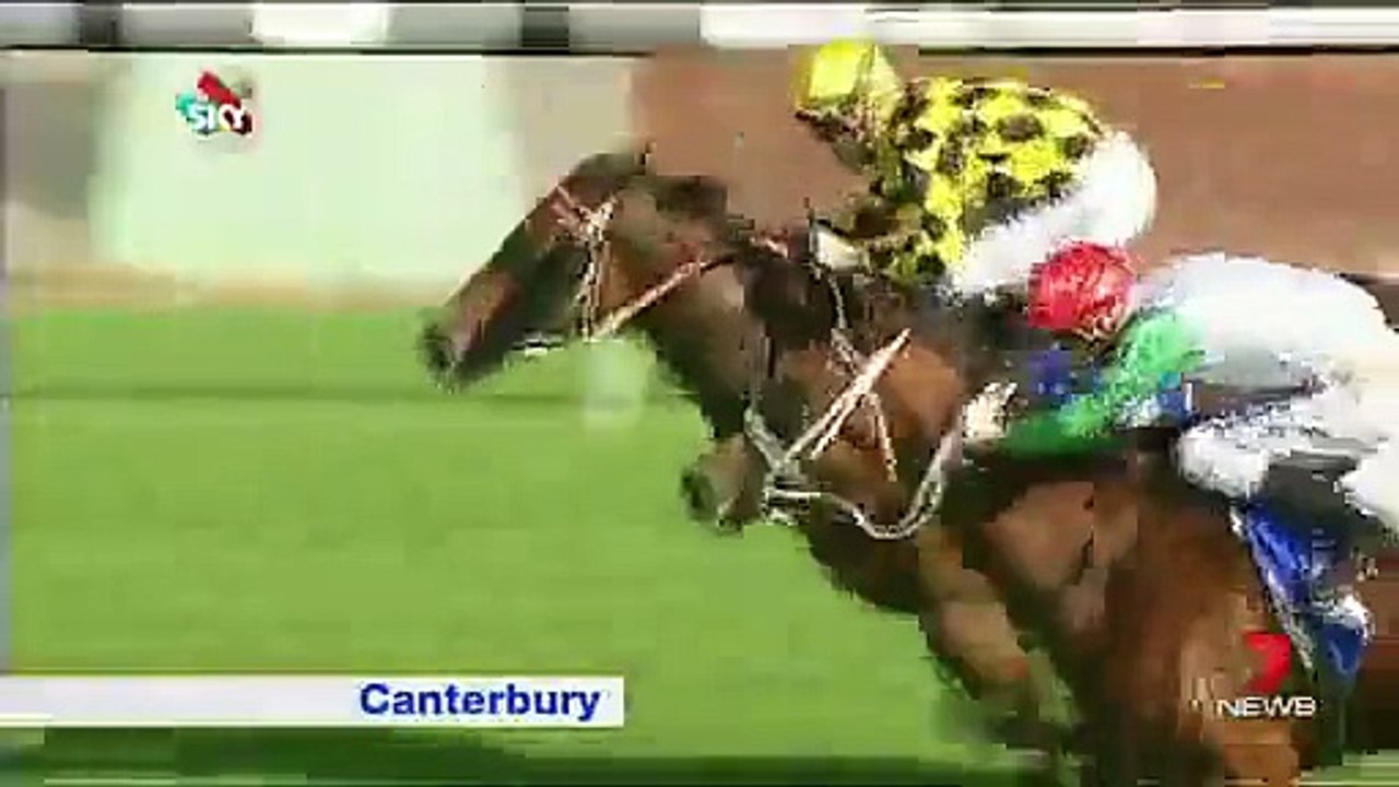 News Anchor Cant Stop Laughing After Watching ---