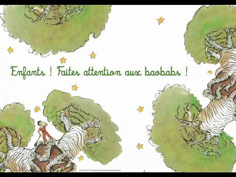 Le Petit Prince - Chapitre V