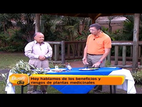 bd-tf-plantasmedicinales-060315