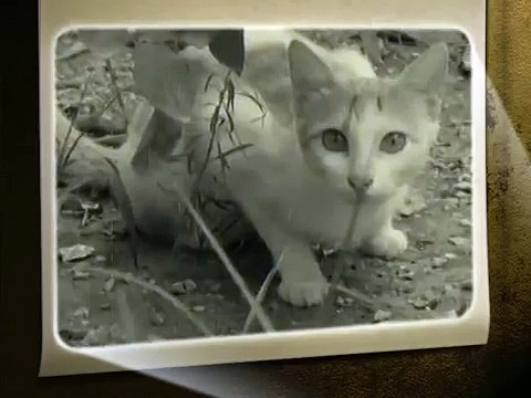 موسيقى تركية هادئة Turkish music slow