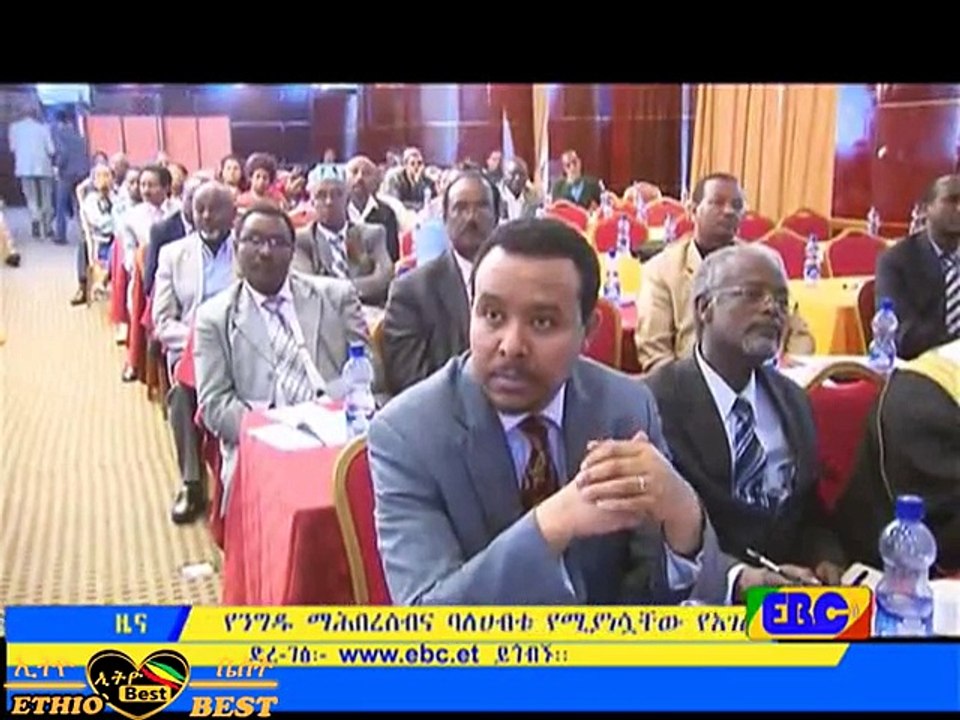 EBC Ethiopia Amharic Evening News April 30, 2015