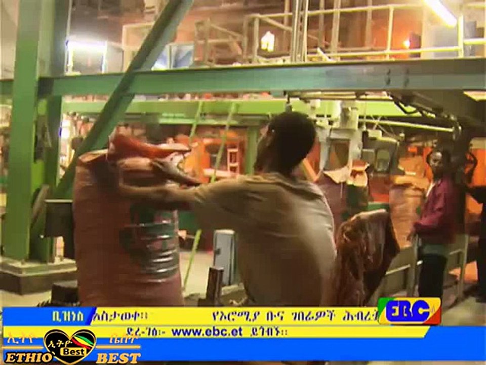 EBC Ethiopia Business Evening News April 30, 2015