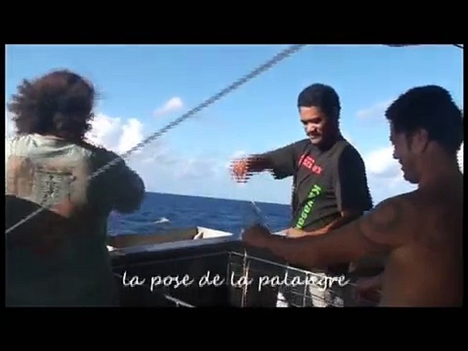 La pêche d'un Thon Obèse (Thon rouge)