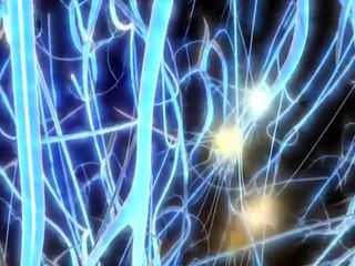 Medical Animation BRAIN+BODY AND FITNESS