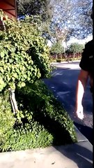 Police Officer Stand Your Ground Harassment Filming Abuse