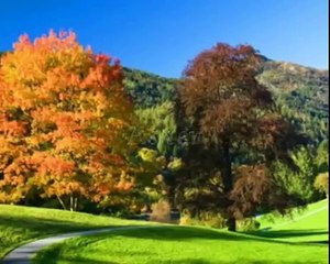 Kadosh Adonai (Hebrew) Elisheva Shomron (w/ lyrics)