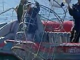 Cage Diving with a Great White Shark goes wrong !