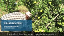 Rwanda Story: Fighting Malnutrition Through Fruit Tree Farming