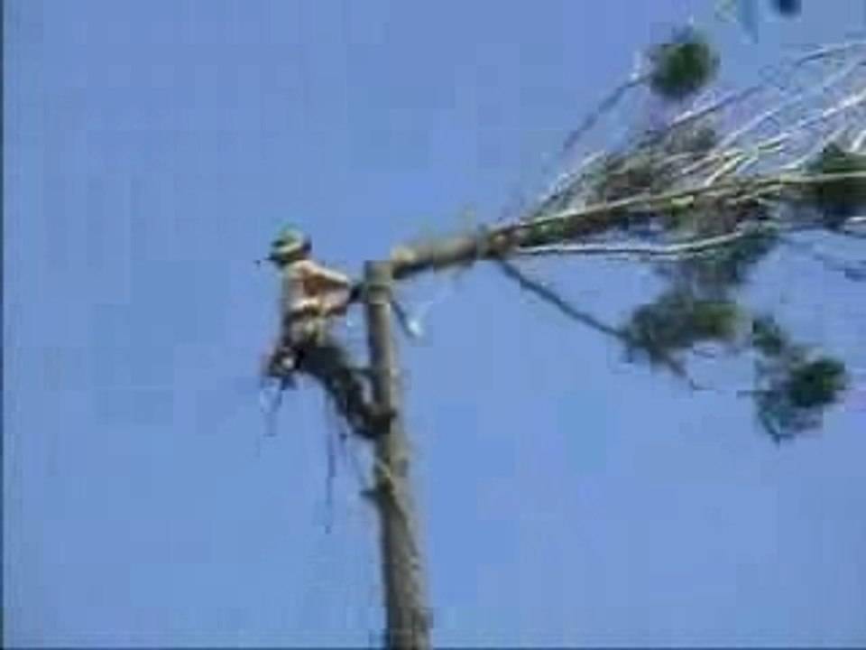 Worker's Comp / Seguridad Laboral
