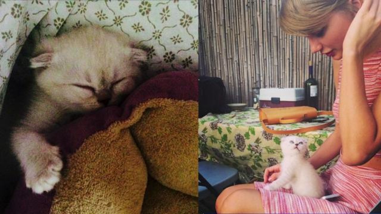The celebs you need to follow on Instagram