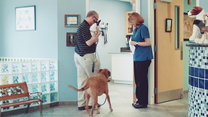 Welcome to Bennett Creek Animal Hospital