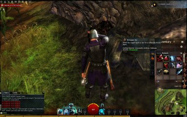 Guild Wars 2 Guardian Gameplay 3_clip5