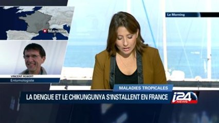 le morning - 29/04/2015
