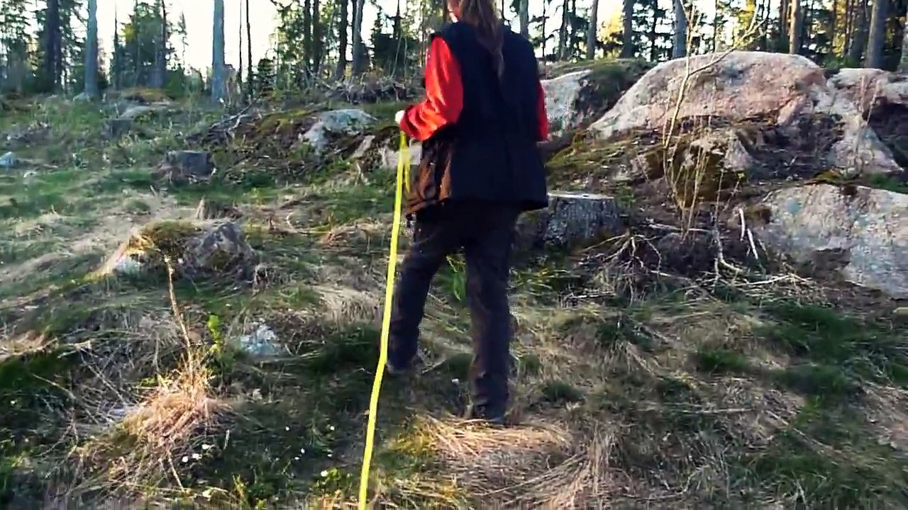 Berger des Pyrénées à Face Rase "Mide"