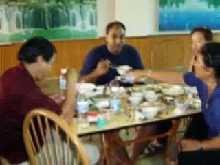 My Long Lost Families