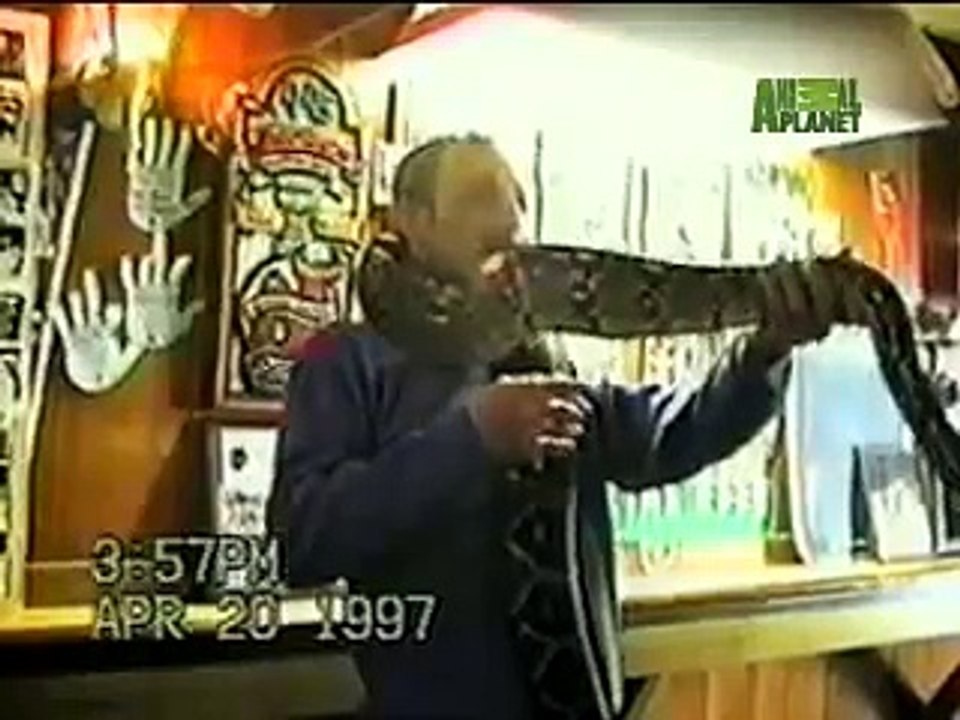 Untamed and Uncut - Boa Bites Owner in Face